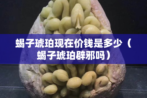 蝎子琥珀現在價錢是多少（蝎子琥珀辟邪嗎）