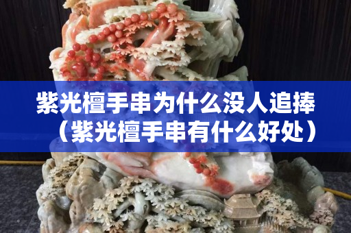 紫光檀手串為什么沒人追捧（紫光檀手串有什么好處）
