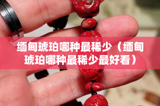 緬甸琥珀哪種最稀少（緬甸琥珀哪種最稀少最好看）