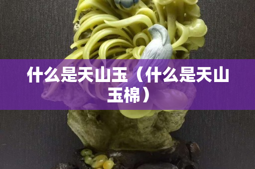什么是天山玉（什么是天山玉棉）