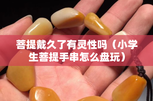菩提戴久了有靈性嗎（小學生菩提手串怎么盤玩）