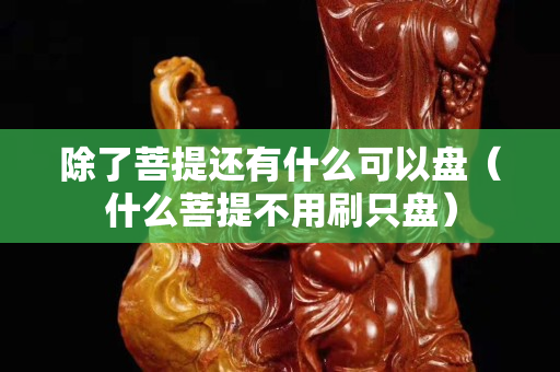 除了菩提還有什么可以盤（什么菩提不用刷只盤）