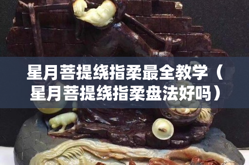 星月菩提繞指柔最全教學（星月菩提繞指柔盤法好嗎）