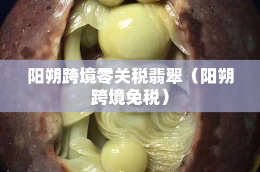 陽朔跨境零關(guān)稅翡翠（陽朔跨境免稅）