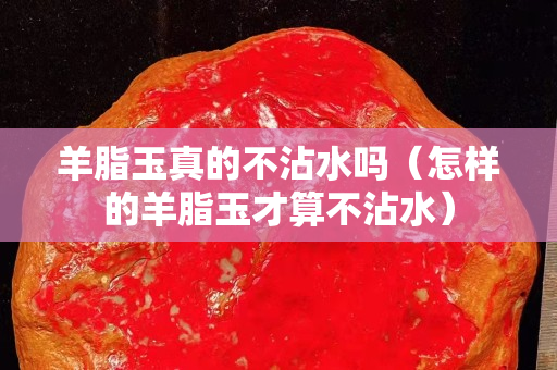 羊脂玉真的不沾水嗎（怎樣的羊脂玉才算不沾水）