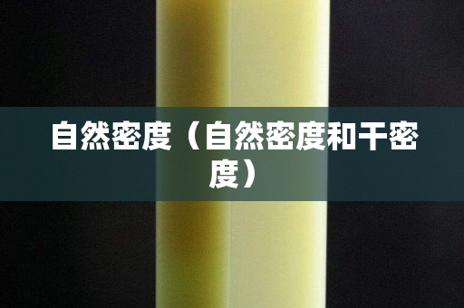 自然密度（自然密度和干密度）