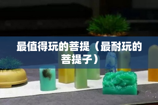 最值得玩的菩提（最耐玩的菩提子）