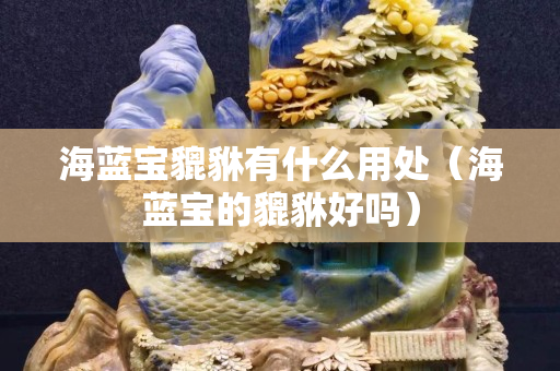 海藍(lán)寶貔貅有什么用處（海藍(lán)寶的貔貅好嗎）