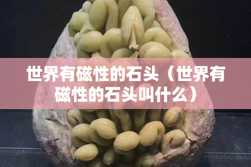 世界有磁性的石頭（世界有磁性的石頭叫什么）
