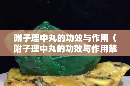 附子理中丸的功效與作用（附子理中丸的功效與作用禁忌）