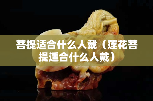 菩提適合什么人戴（蓮花菩提適合什么人戴）