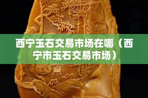 西寧玉石交易市場在哪（西寧市玉石交易市場）
