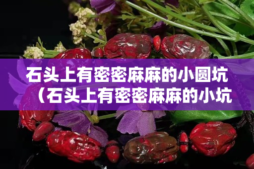石頭上有密密麻麻的小圓坑（石頭上有密密麻麻的小坑嗎）