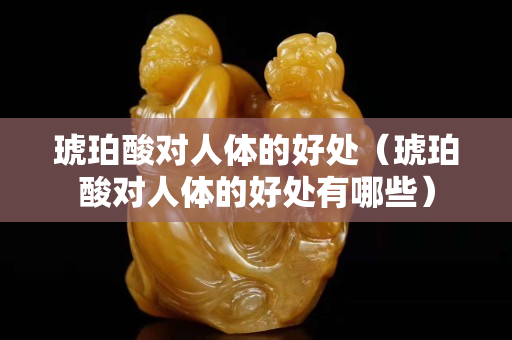 琥珀酸對人體的好處（琥珀酸對人體的好處有哪些）