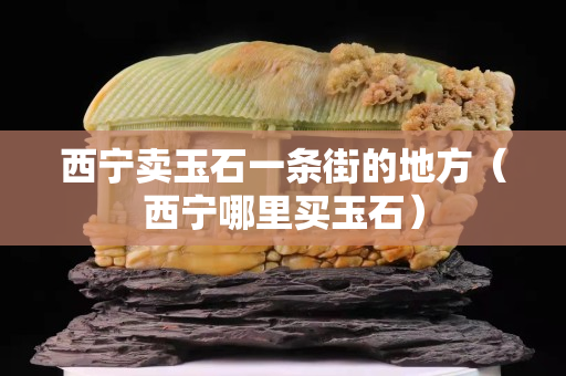 西寧賣玉石一條街的地方（西寧哪里買玉石）