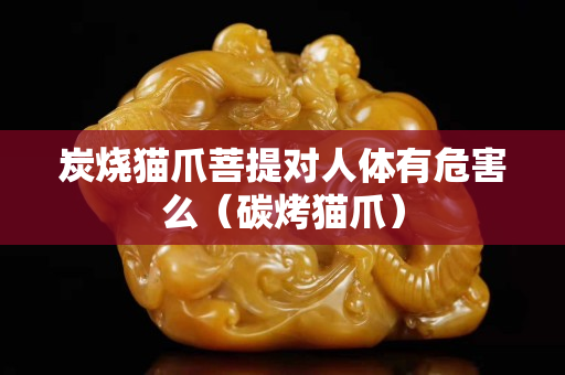 炭燒貓爪菩提對人體有危害么（碳烤貓爪）