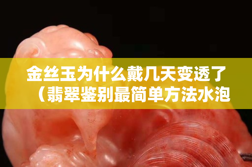 金絲玉為什么戴幾天變透了（翡翠鑒別最簡(jiǎn)單方法水泡）