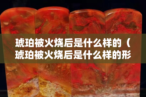 琥珀被火燒后是什么樣的（琥珀被火燒后是什么樣的形狀）