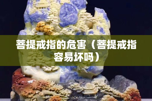 菩提戒指的危害（菩提戒指容易壞嗎）