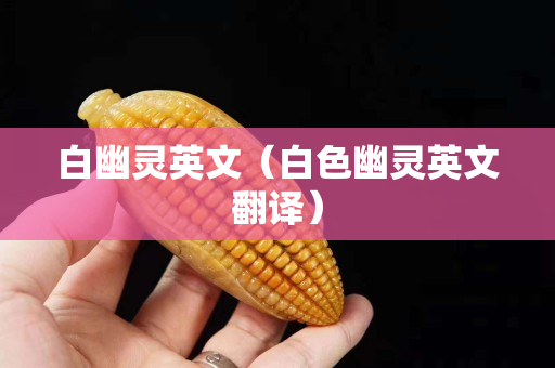 白幽靈英文（白色幽靈英文翻譯）