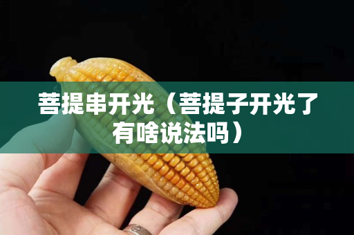 菩提串開(kāi)光（菩提子開(kāi)光了有啥說(shuō)法嗎）