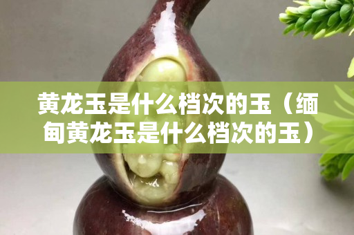 黃龍玉是什么檔次的玉（緬甸黃龍玉是什么檔次的玉）