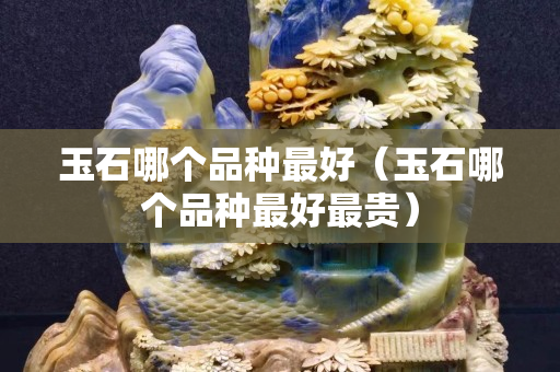 玉石哪個(gè)品種最好（玉石哪個(gè)品種最好最貴）