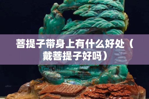 菩提子帶身上有什么好處（戴菩提子好嗎）