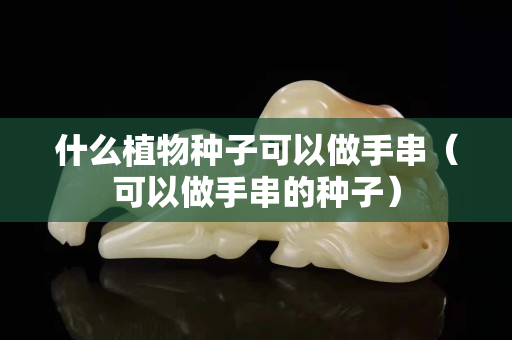 什么植物種子可以做手串（可以做手串的種子）