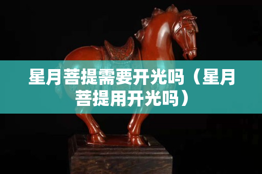 星月菩提需要開光嗎（星月菩提用開光嗎）