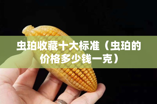 蟲珀收藏十大標準（蟲珀的價格多少錢一克）