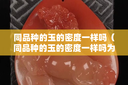 同品種的玉的密度一樣嗎（同品種的玉的密度一樣嗎為什么）