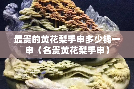 最貴的黃花梨手串多少錢一串（名貴黃花梨手串）