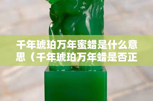 千年琥珀萬年蜜蠟是什么意思（千年琥珀萬年蠟是否正確）