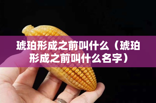 琥珀形成之前叫什么（琥珀形成之前叫什么名字）