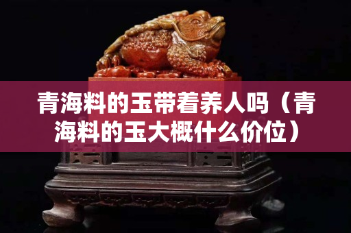 青海料的玉帶著養人嗎（青海料的玉大概什么價位）