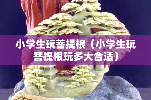 小學(xué)生玩菩提根（小學(xué)生玩菩提根玩多大合適）