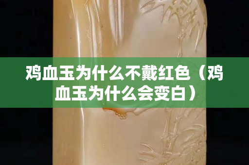 雞血玉為什么不戴紅色（雞血玉為什么會變白）