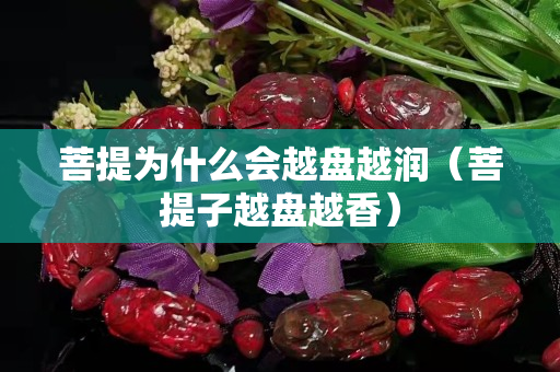菩提為什么會越盤越潤（菩提子越盤越香）