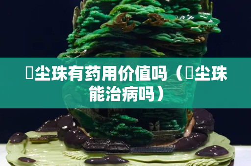 雮塵珠有藥用價值嗎（雮塵珠能治病嗎）