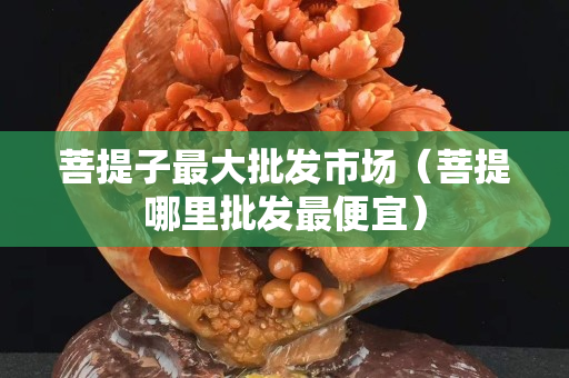 菩提子最大批發市場（菩提哪里批發最便宜）