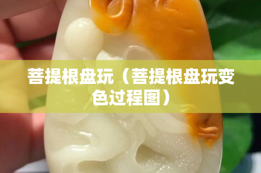 菩提根盤玩（菩提根盤玩變色過程圖）