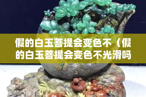 假的白玉菩提會變色不（假的白玉菩提會變色不光滑嗎）