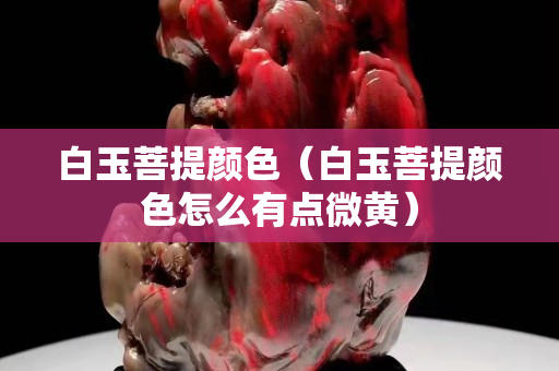 白玉菩提顏色（白玉菩提顏色怎么有點微黃）