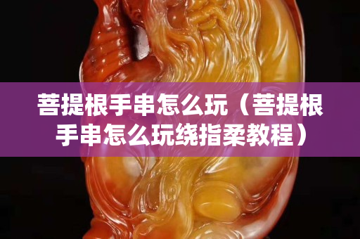 菩提根手串怎么玩（菩提根手串怎么玩繞指柔教程）