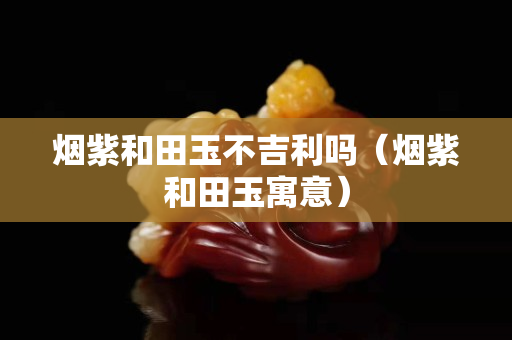 煙紫和田玉不吉利嗎（煙紫和田玉寓意）