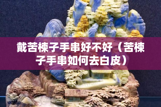 戴苦楝子手串好不好（苦楝子手串如何去白皮）