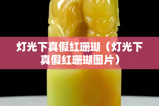 燈光下真假紅珊瑚（燈光下真假紅珊瑚圖片）