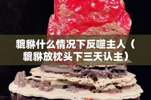 貔貅什么情況下反噬主人（貔貅放枕頭下三天認主）
