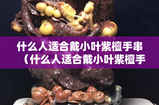 什么人適合戴小葉紫檀手串（什么人適合戴小葉紫檀手串圖片）